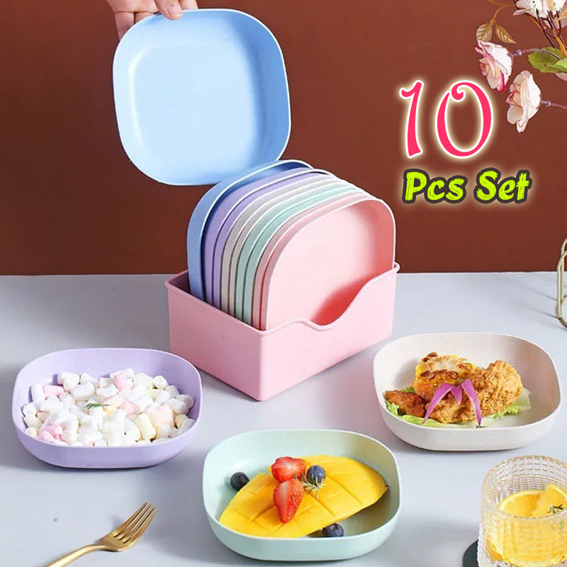 10Pcs Food Grade Plate